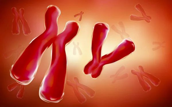 Pares cromosómicos X e Y o genética. Hay pares ilustrados por ilustraciones médicas y científicas en 3D. . — Foto de Stock