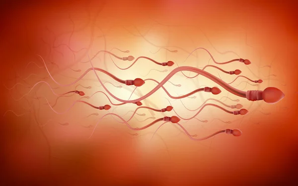 Un espermatozoide es semen humano. En la espalda blanca —  Fotos de Stock