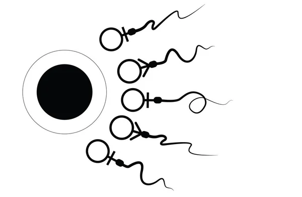 Absztrakt spermium ikon, sperma ikonra és a sperma vektor, hogy fut a tojás felé. Fehér alapon a versenykoncepció — Stock Fotó