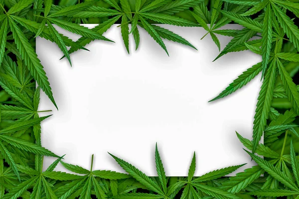 Marihuana Blad Illustraties Cannabis Donkere Achtergrond Mooie Achtergrond Top Hoek — Stockfoto