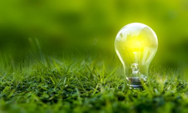Yenilenebilir enerji konsepti Dünya Günü veya çevre koruma Elleri toprakta yetişen ormanları korur ve dünyayı kurtarmaya yardım eder.