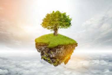 Yenilenebilir enerji konsepti Dünya Günü veya çevre koruma Elleri toprakta yetişen ormanları korur ve dünyayı kurtarmaya yardım eder.