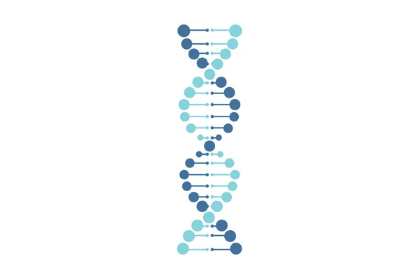 DNA-vektor blå linje vit bakgrund — Stockfoto