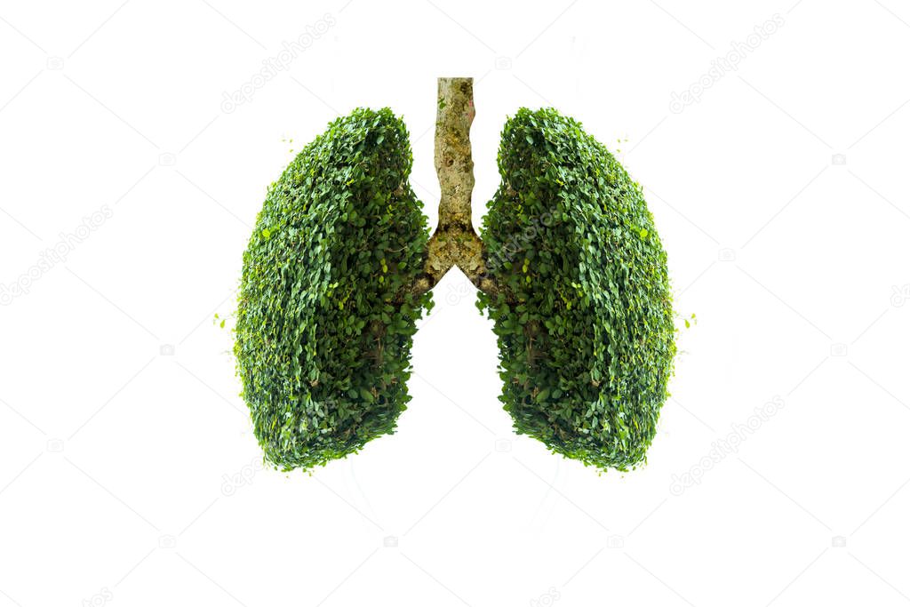 Lung green tree-shaped images, medical concepts, autopsy, 3D display and animals as an element
