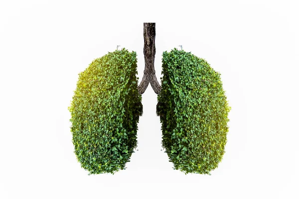肺緑色の木の形の画像 医療概念 3Dディスプレイ 動物を要素として — ストック写真