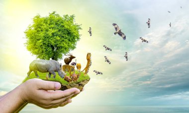 Yaban Hayatı Koruma Günü Vahşi hayvanlar eve. Veya yaban hayatı koruma