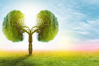 Akciğer yeşil ağaç şekilli görüntüler, tıbbi kavramlar, otopsi, 3D ekran ve hayvanlar bir eleman olarak