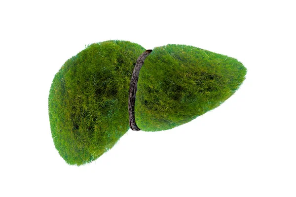 Gerçekçi Karaciğer Görüntüleri Hastalıklar Siroz Çevre Hakkında Insan Yeşil Ağaç — Stok fotoğraf