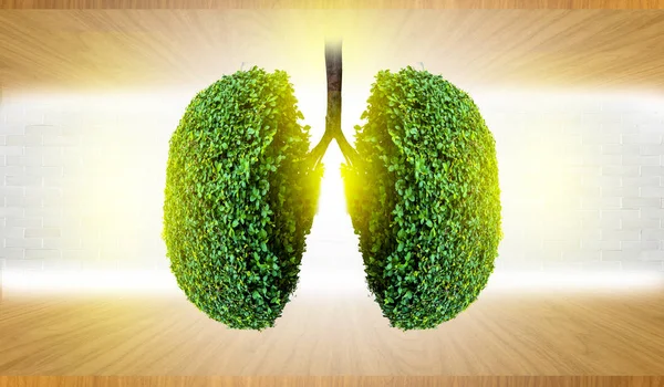 Płuca Zielone Obrazy Kształcie Drzewa Koncepcje Medyczne Autopsji Wyświetlacz Zwierząt — Zdjęcie stockowe