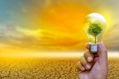 Yenilenebilir enerji konsepti Dünya Günü veya çevre koruma Elleri toprakta yetişen ormanları korur ve dünyayı kurtarmaya yardım eder.