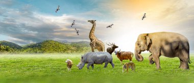 Yaban Hayatı Koruma Günü Vahşi hayvanlar eve. Veya yaban hayatı koruma