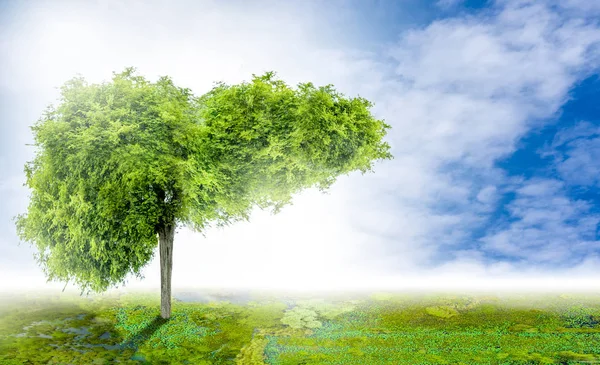 Реалистичные Изображения Печени Являются Человеческими Зелеными Деревьями Формы Болезнях Циррозе — стоковое фото