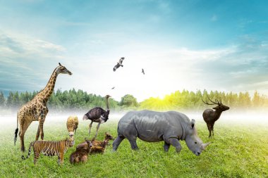 Yaban Hayatı Koruma Günü Vahşi hayvanlar eve. Veya yaban hayatı koruma