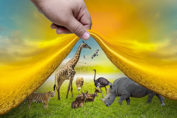 Yaban Hayatı Koruma Günü Vahşi hayvanlar eve. Veya yaban hayatı koruma