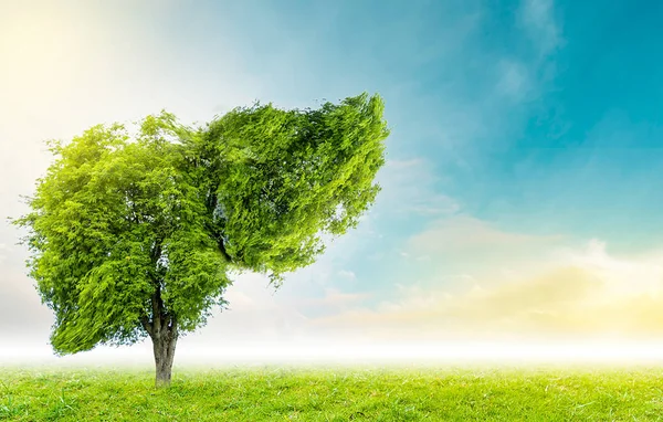 Gerçekçi karaciğer görüntüleri hastalıklar ve siroz (çevre hakkında insan yeşil ağaç şekilleri).
