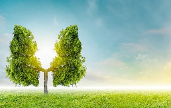 Akciğer yeşil ağaç şekilli görüntüler, tıbbi kavramlar, otopsi, 3D ekran ve hayvanlar bir eleman olarak