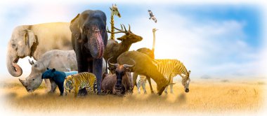 Yaban Hayatı Koruma Günü Vahşi hayvanlar eve. Veya yaban hayatı koruma