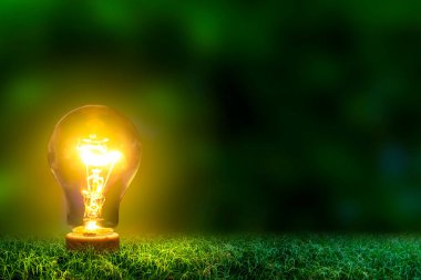 Yenilenebilir enerji konsepti Dünya Günü veya çevre koruma Elleri toprakta yetişen ormanları korur ve dünyayı kurtarmaya yardım eder.