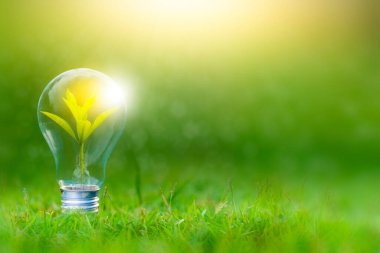 Yenilenebilir enerji konsepti Dünya Günü veya çevre koruma Elleri toprakta yetişen ormanları korur ve dünyayı kurtarmaya yardım eder.