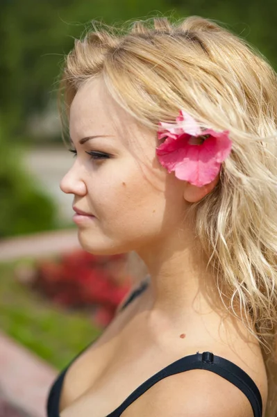 doğa güzel kız orman yaz