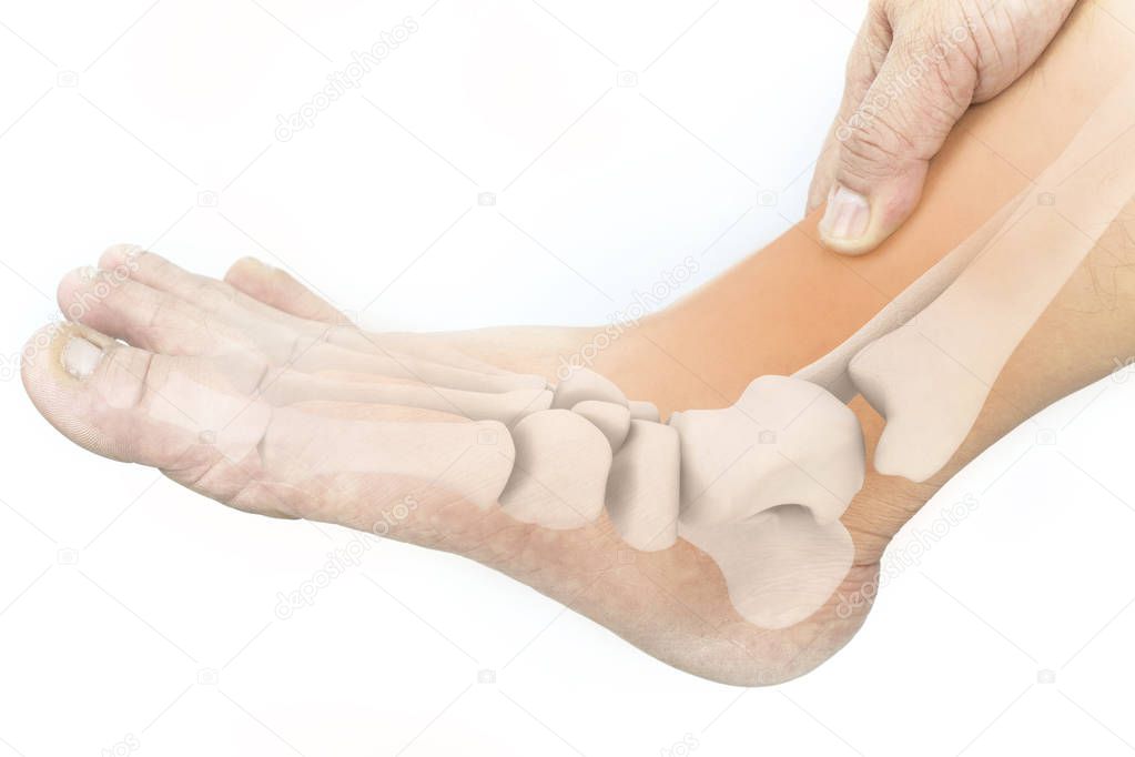 foot bones pain white background foot injury