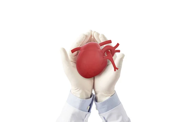 Arts Hold Hart Cardiologie Symptomen Witte Achtergrond — Stockfoto