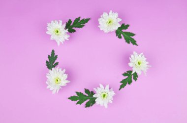 Çiçek düz yatıyordu çiçek serseriyim