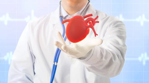 医生检查3D心脏 心脏病学症状在图形心跳和脉搏背景 — 图库照片
