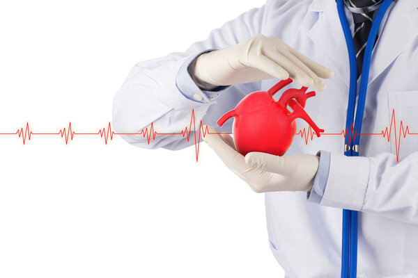 doctor hold heart show signel heart beat, cardiology symptoms , 3D concept 