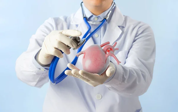 医師は心臓の脈拍 心臓症状 3Dコンセプトを聞く心臓を保持します — ストック写真