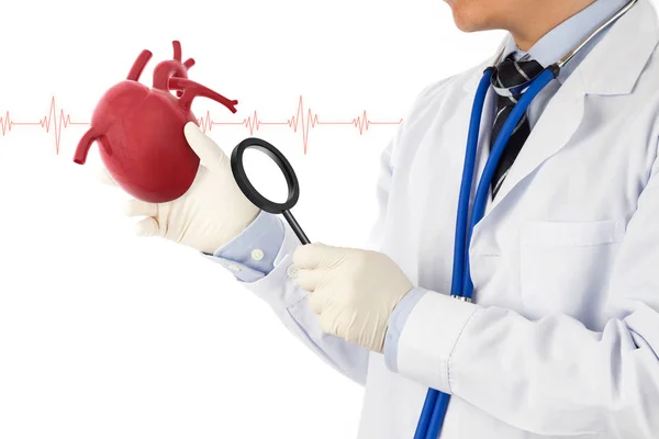 Arts Houden Hart Hart Vaatziekten Controleren Cardiologie Symptomen Concept — Stockfoto