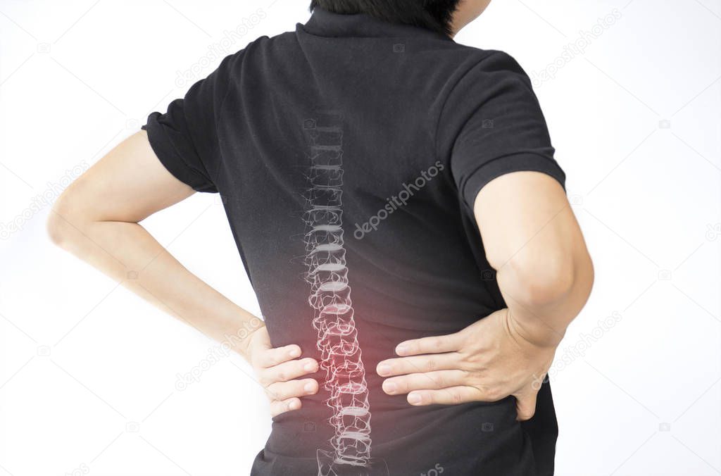 spine bones injury white background spine pain