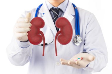 doctor check 3D kidney urology , kidney disease with medicine  clipart