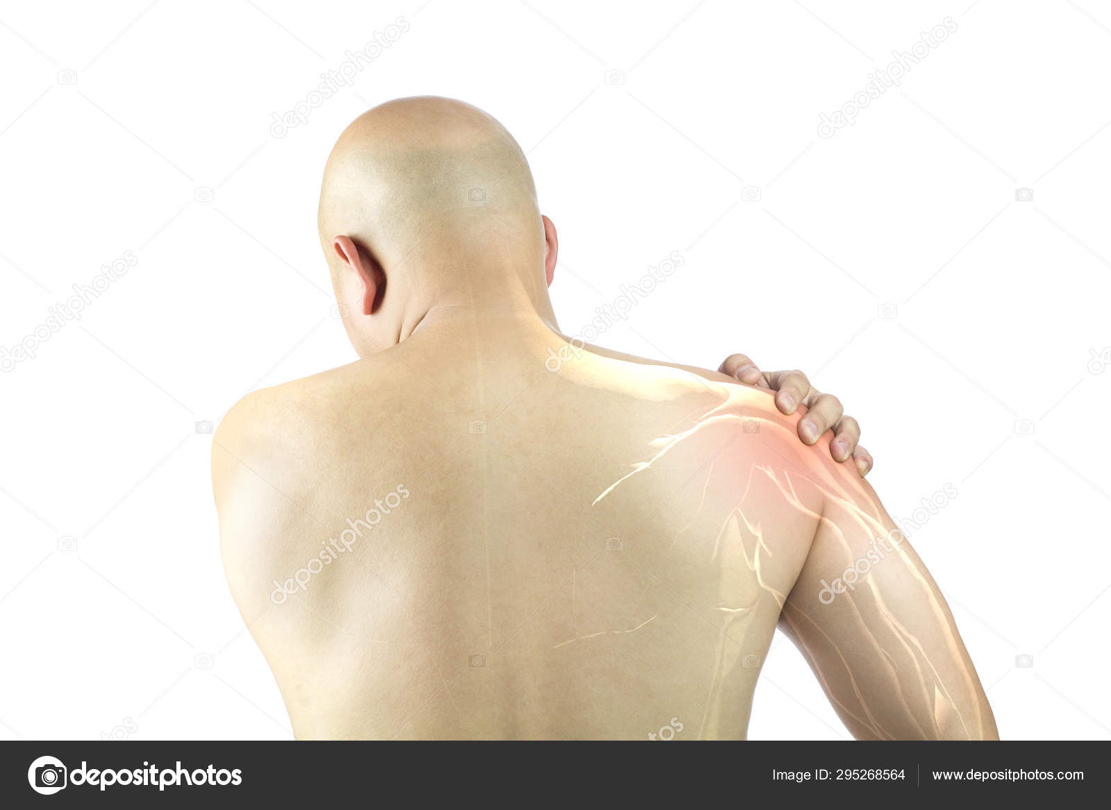 dolor de hombro muscular dolor de hombro muscular