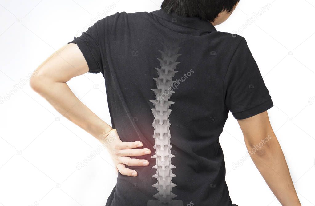 spine bones injury white background spine pain