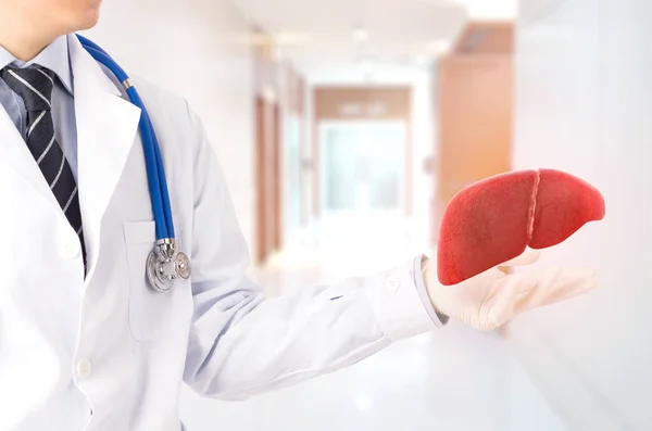 doktor tedavi 3d karaciğer , kavram yağlı karaciğer 