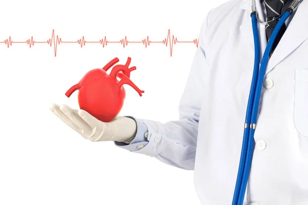 Arts Hold Hart Toon Signel Heart Beat Cardiologie Symptomen Concept — Stockfoto