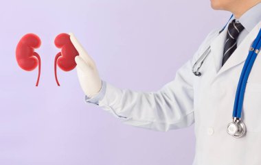doktor kontrol 3d böbrek ürolojisi , böbrek hastalığı