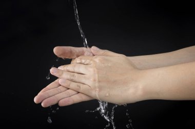 El temizliği kir ve bakteri yıkama