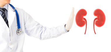 doktor kontrol 3d böbrek ürolojisi , böbrek hastalığı