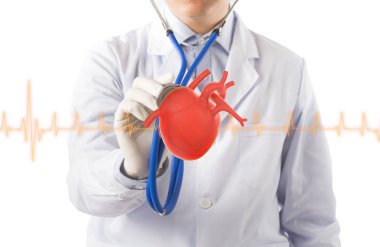 doctor hold heart listens heart, cardiology symptoms in white background clipart
