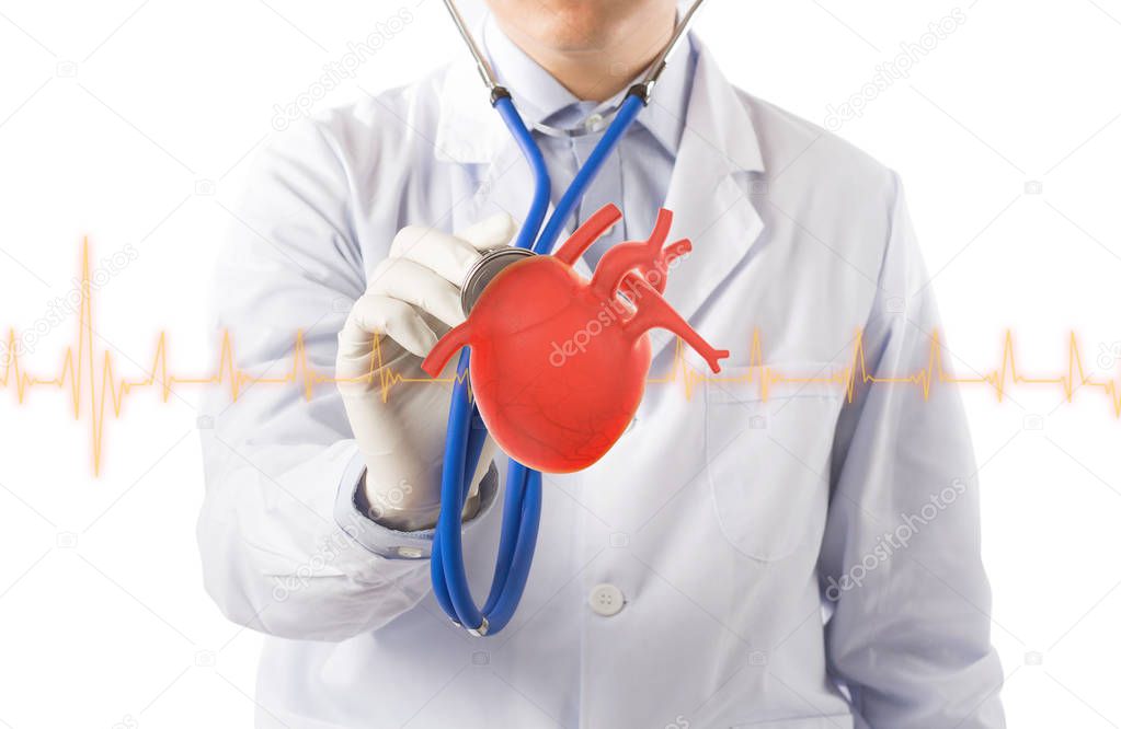 doctor hold heart listens heart, cardiology symptoms in white background
