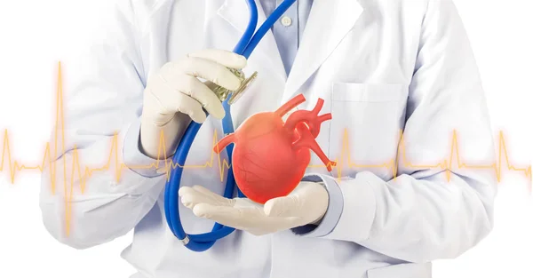 Arzt Hält Herz Hört Herz Kardiologische Symptome Vor Weißem Hintergrund — Stockfoto