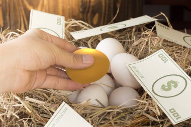 altın yumurta yatırım , ticaret varlık kavram risk yatırım