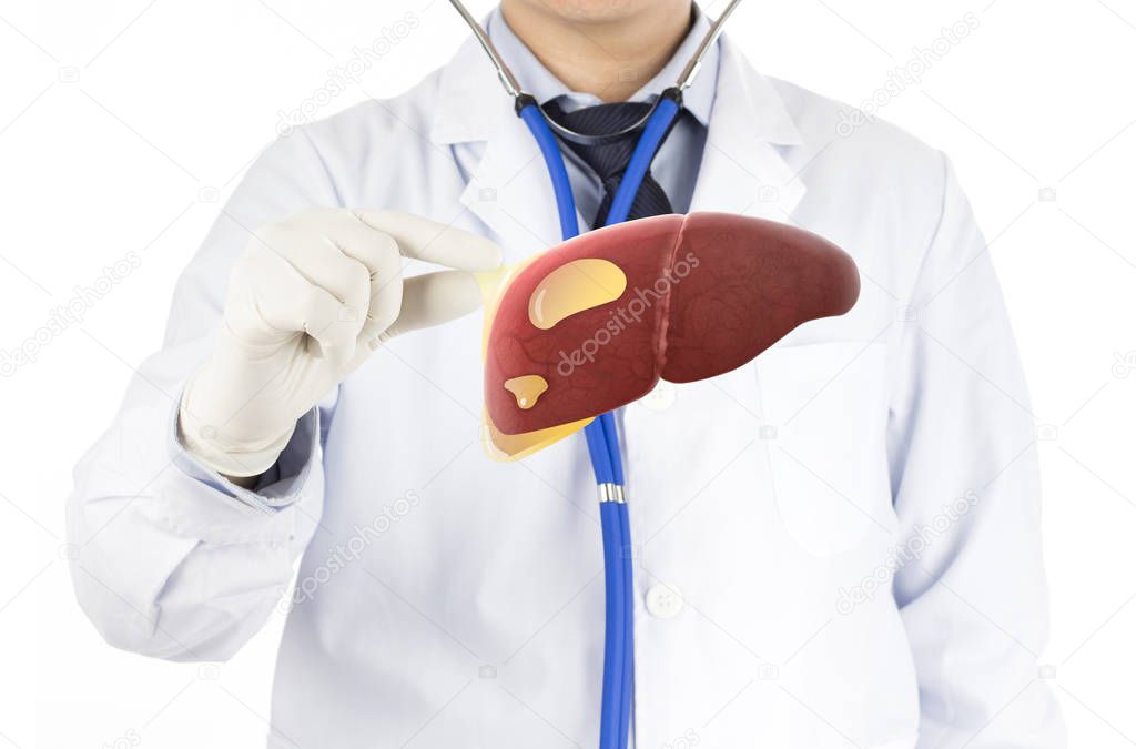 doctor touch fatty on liver , concept fatty liver