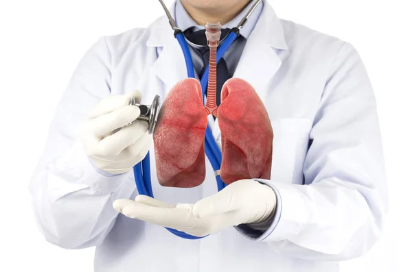 akciğer doktor kontrol solunum , akciğer hastalığı , 3d kavramı