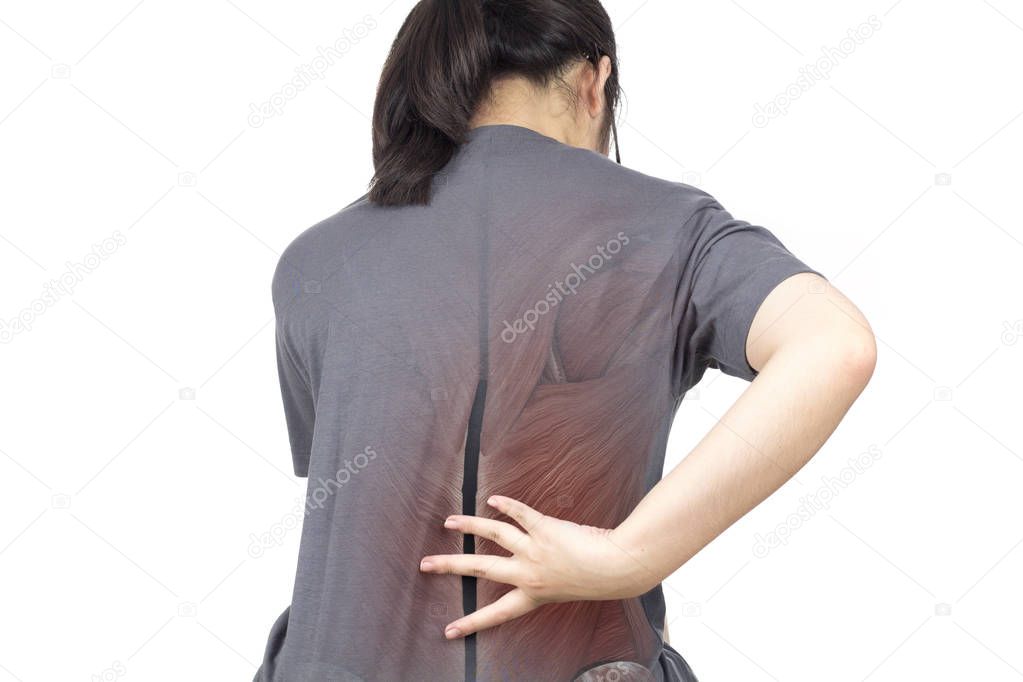 spine muscle injury white background spine pain