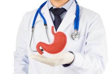 Doktor dokunuşu Org mide 3D, konsept mide ülseri