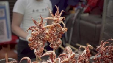 Man Fries Kalamar. Asya Sokak Yemekleri. Baharatlı Sokak Yemekleri 