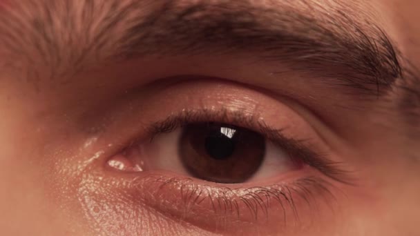 Mans Eye close-up — Stockvideo